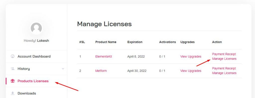 Elementskit License Activation